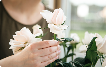 Fotografía de flores blancas