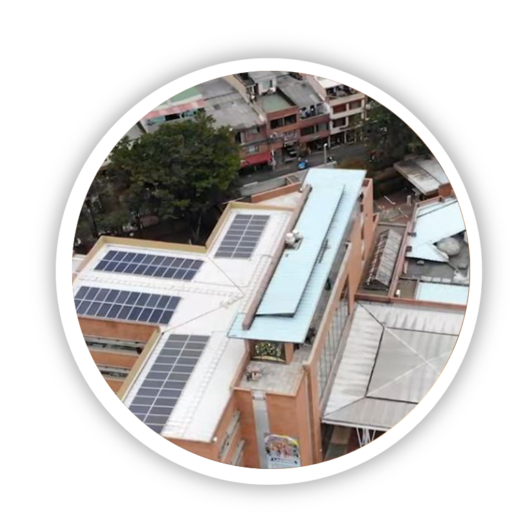 Hombre levantando las manos de espalda con arbol de fondo