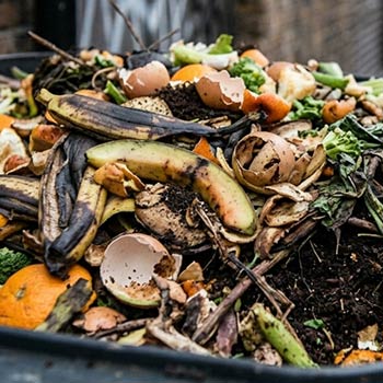 Manos sosteniendo una planta como símbolo de sostenibilidad y cuidado del medio ambiente
