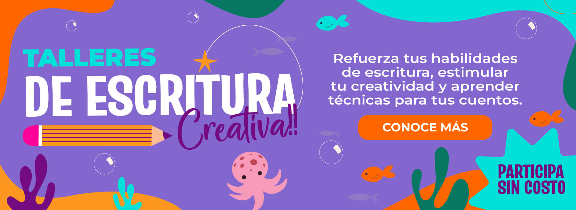 banner Negro Fest