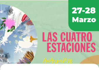 niños nadando en piscina