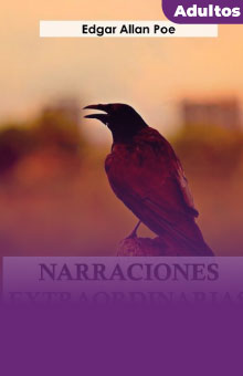 imagen libro Narraciones Extraordinarias