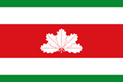 Bandera de la delegación