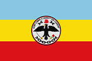 Bandera de la delegación