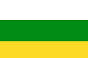 Bandera de la delegación