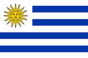 Bandera de la delegación