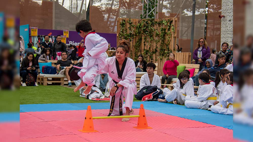 Demostrativo de Taekwondo