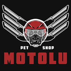 Logo Motolu