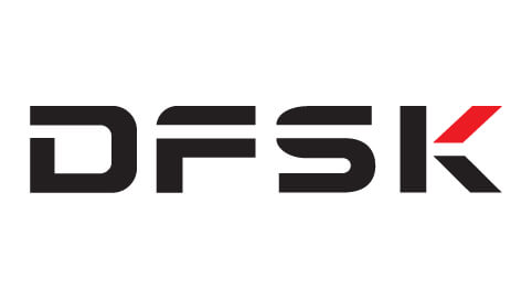 Logo DSFK