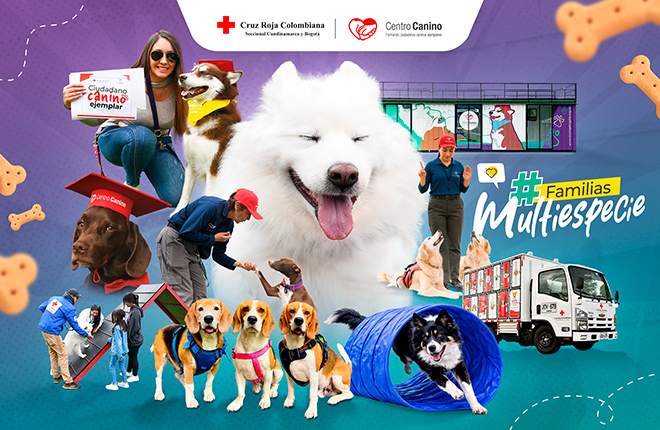 Perros en academia canina entrenando