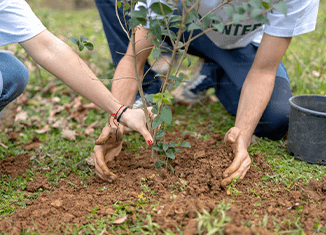  imagen de un grupo de colaboradores reunidos en medio de una charla grupal.
