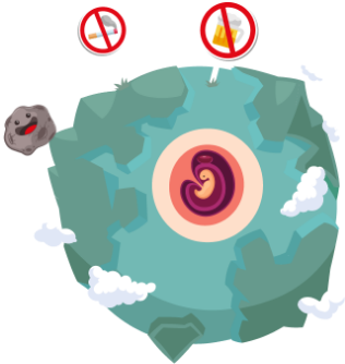 Ilustración de un planeta cuyo núcleo es embrión de 4 semanas. Alrededor hay unos letreros que indican las prohibiciones que la madre tiene de consumir alcohol y fumar.  
