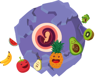 Ilustración de un planeta cuyo núcleo es un feto de 8 semanas. El planeta es orbitado por frutas.  