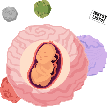 Ilustración de un planeta cuyo núcleo es un bebé que ha completado los 9 meses de gestación y está listo para el nacimiento. 