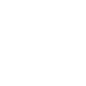 icono para iniciar video