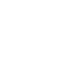 icono para iniciar video