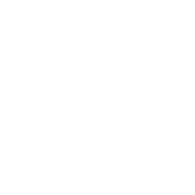 icono para iniciar video
