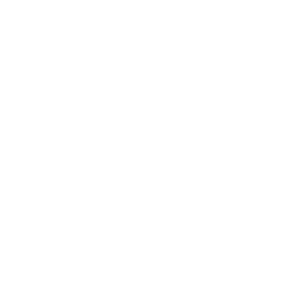 icono para iniciar video
