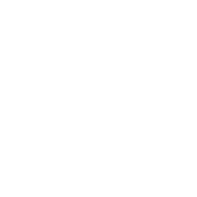 icono para iniciar video