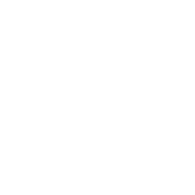 icono para iniciar video