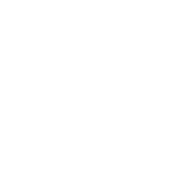 icono para iniciar video