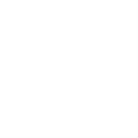 icono para iniciar video